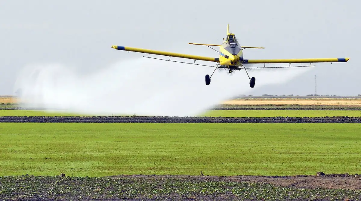 Se dio curso a un amparo colectivo ambiental contra las fumigaciones cerca de zonas urbanas en Paraná