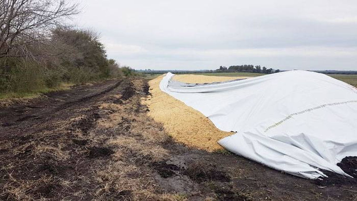  El sector agropecuario y un nuevo  ataque contra la propiedad privada