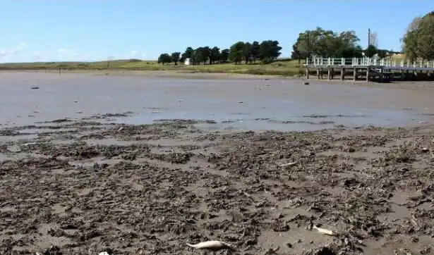 Monte Hermoso: Desapareció una laguna y el Intendente sospecha de posibles tomas ilegales de agua