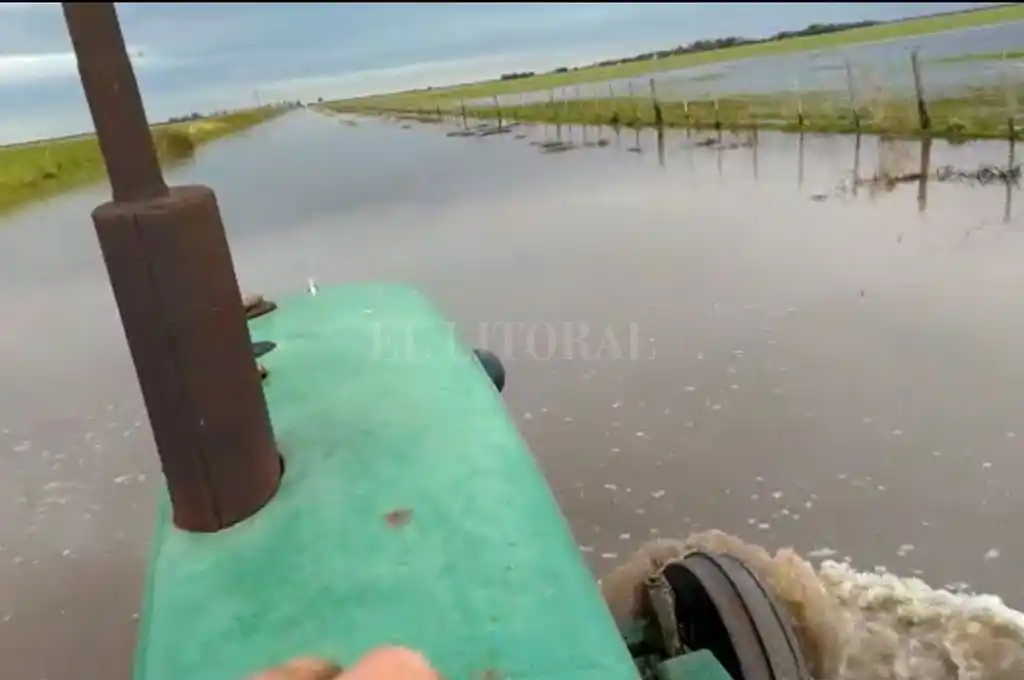 Inundaciones: peligra la fina en el noroeste santafesino