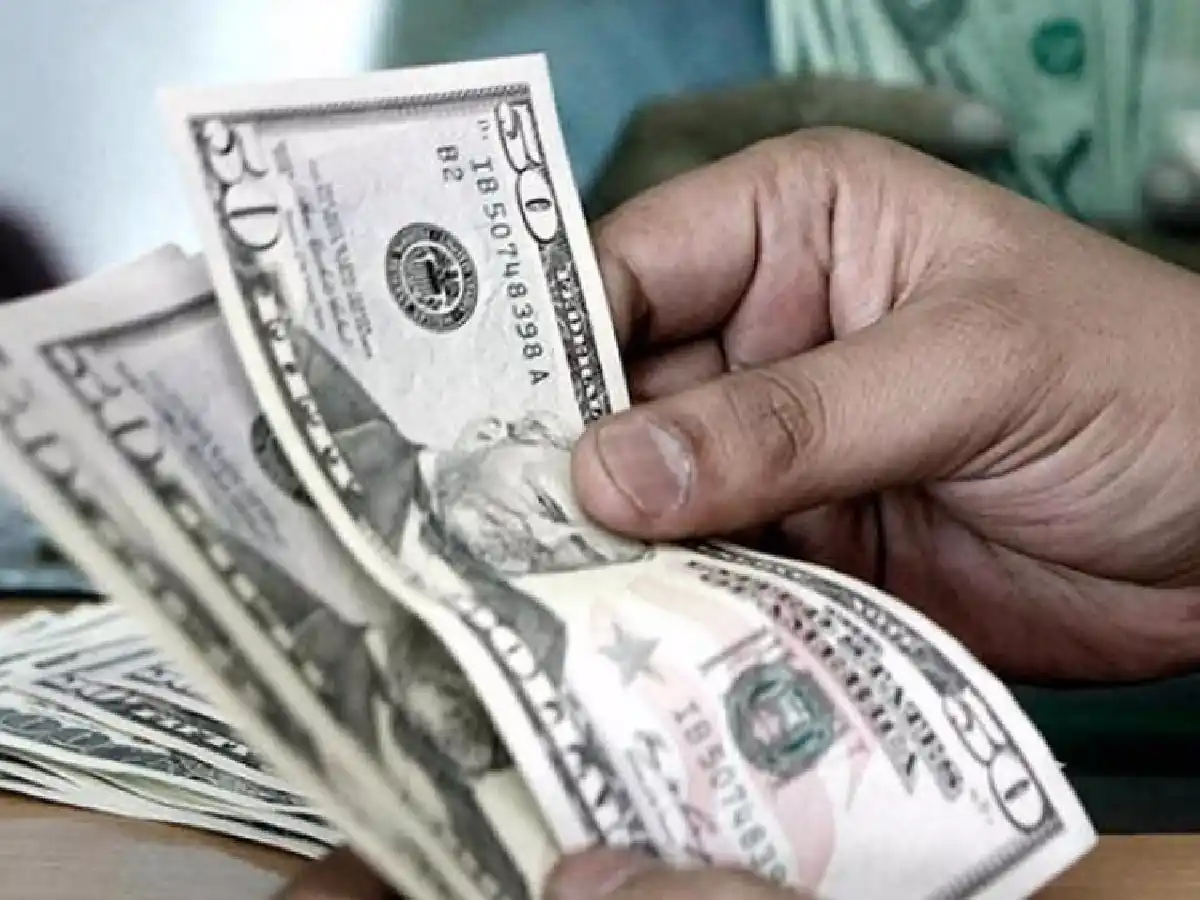 El Presidente dijo que está "en estudio" restringir la compra de 200 dólares por mes