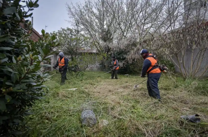 El Municipio retiró más de 130 toneladas de terrenos privados