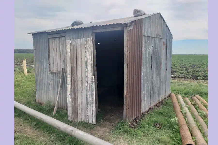 Trabajo esclavo en Santa Fe: uno era menor y cobraba $10.000 por mes 