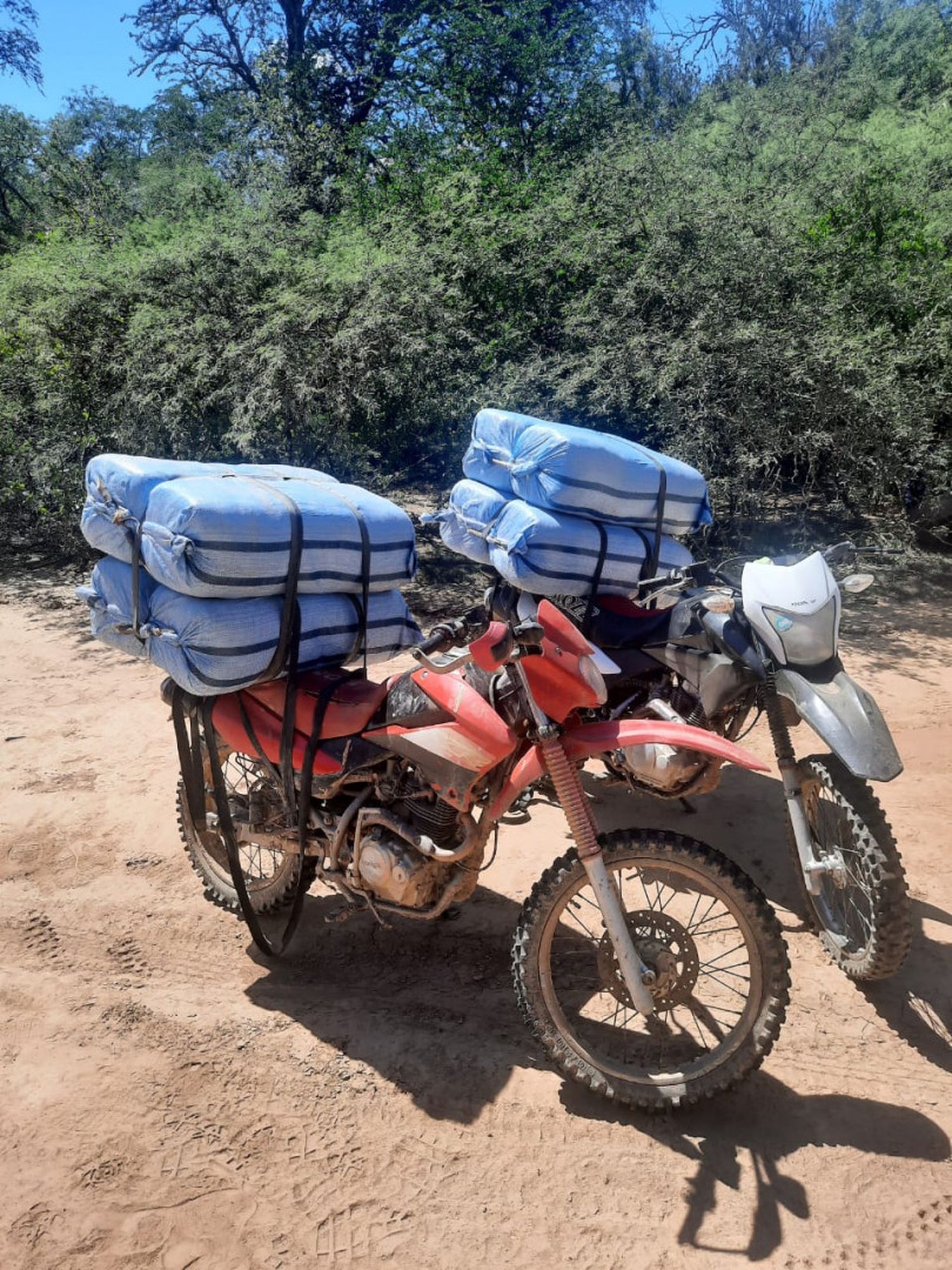 Detienen a dos motociclistas por contrabandear 160 kilos de hojas de coca en Ingeniero Juárez