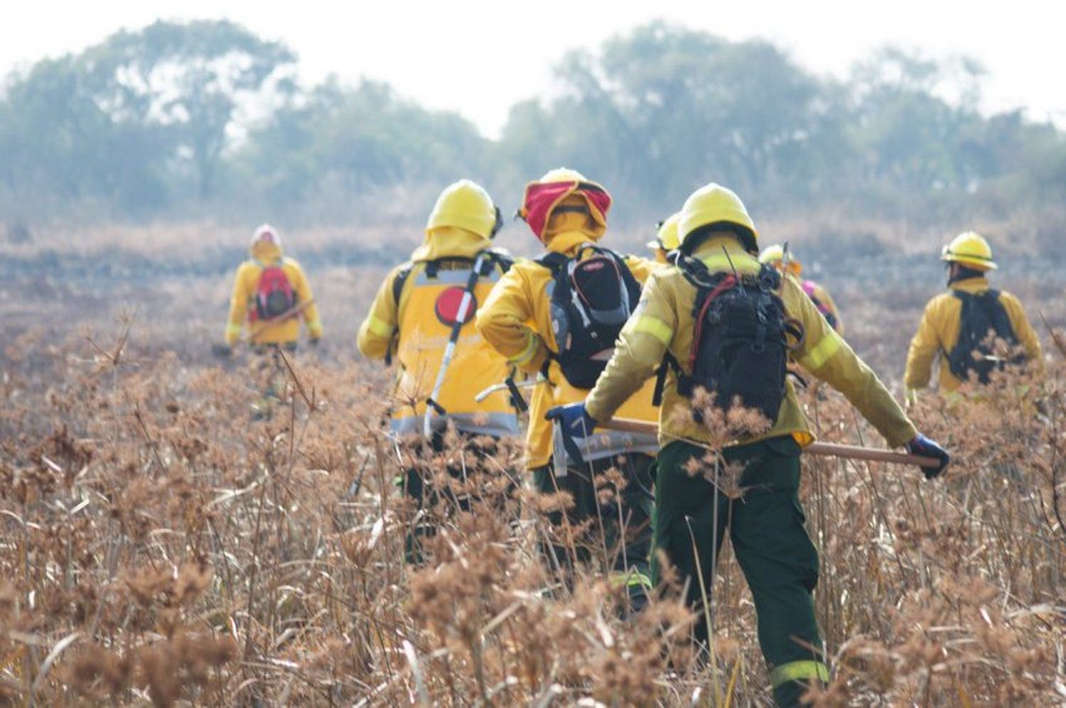 Corrientes: los incendios ya arrasaron con más del 10% del territorio