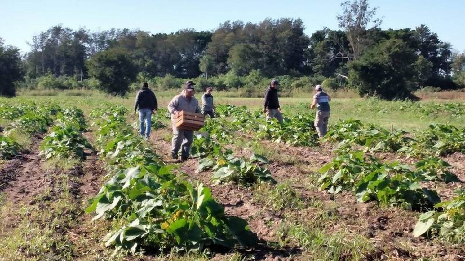 Se realizó una jornada de prácticas en campo
en la Universidad Provincial de Laguna Blanca