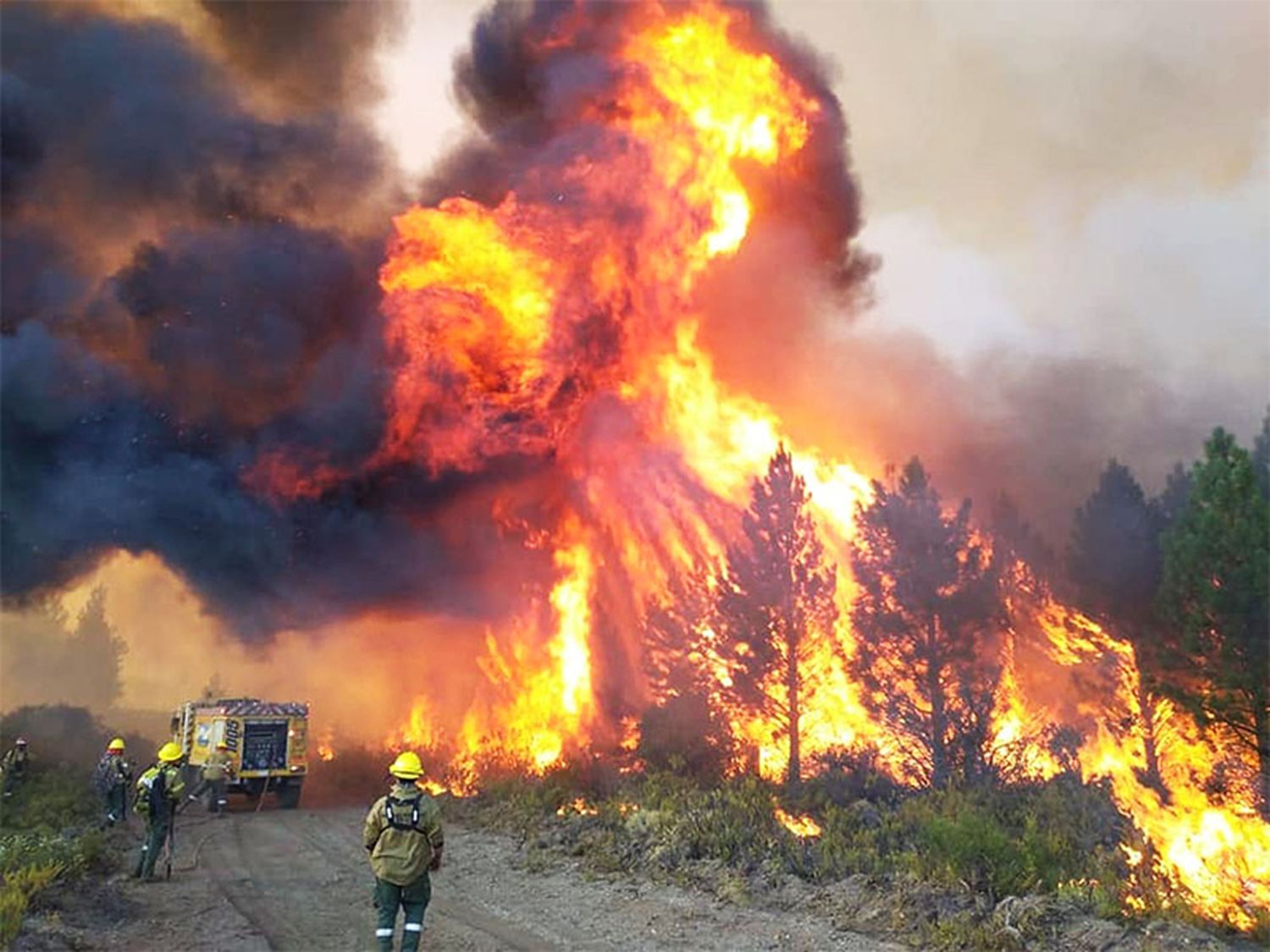 Incendios : la sequía y las altas temperaturas complican la lucha