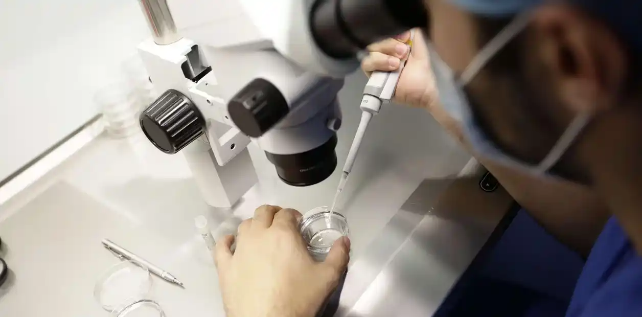 Cómo es el procedimiento para congelar óvulos
