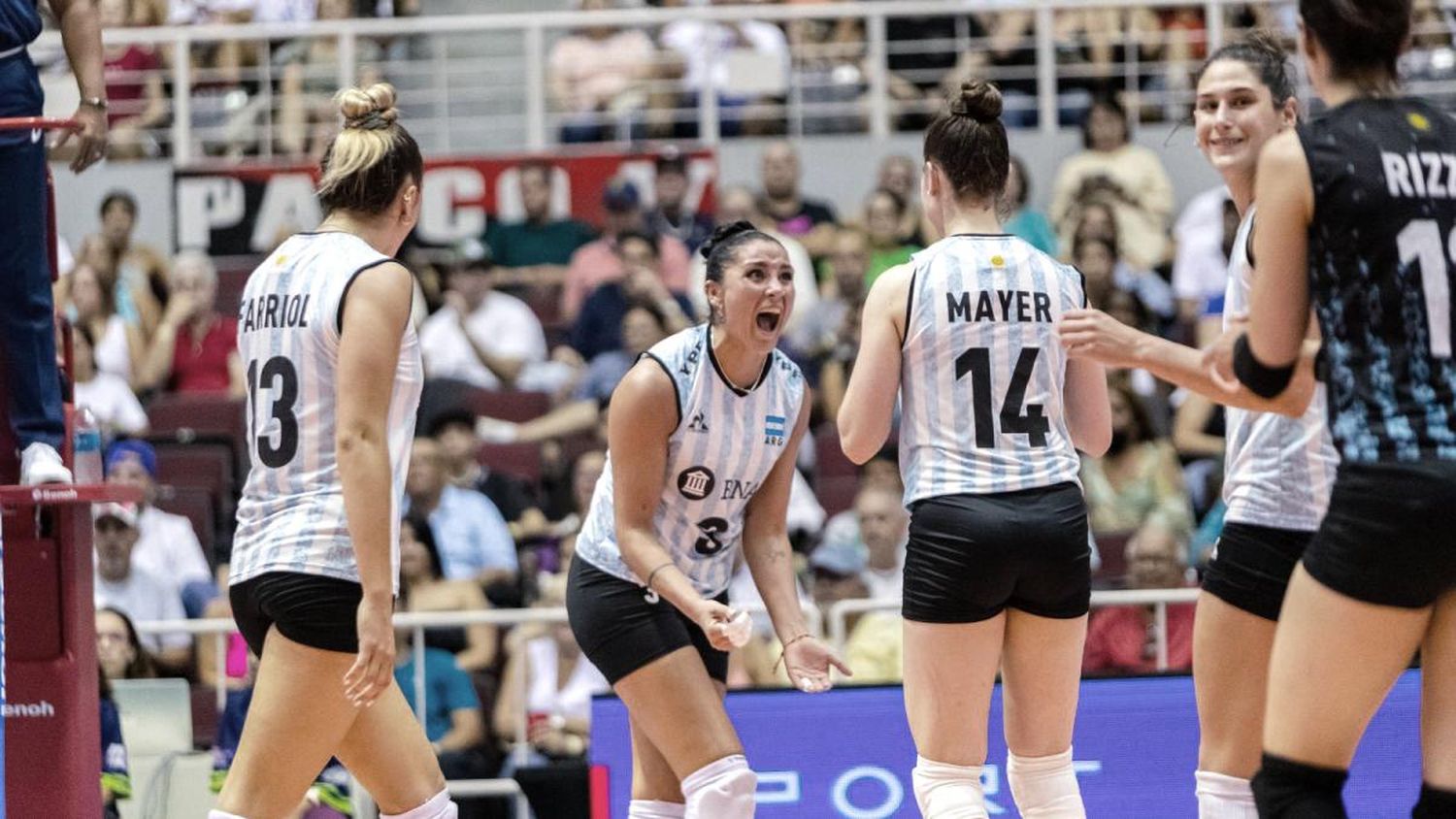 Las Panteras se consagraron campeonas panamericanas de vóleibol