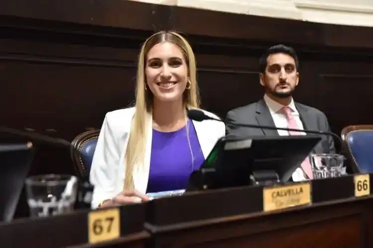 Geraldine Calvella presentó el proyecto en la Legislatura.