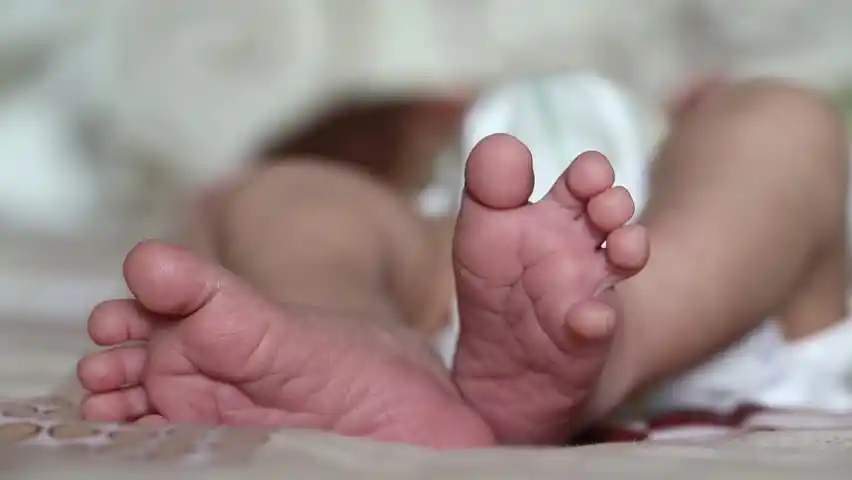 PARA VENDERLA POR $ 250: tres mujeres vestidas de enfermera raptan a una bebé en hospital de Apure