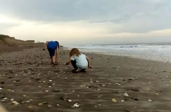 Halló un fósil de elefante prehistórico en Camet