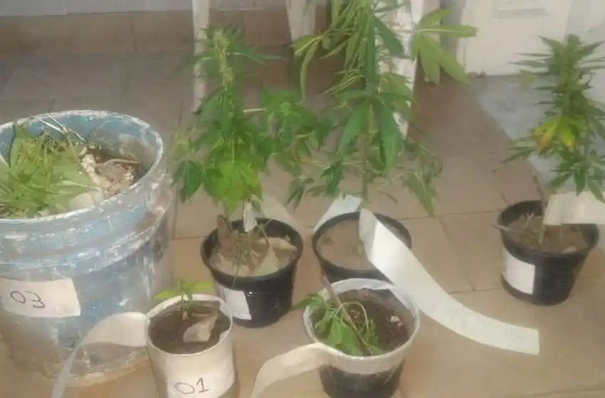 Subió a los techos para robar, huyó a su guarida y lo detuvieron con arma y droga