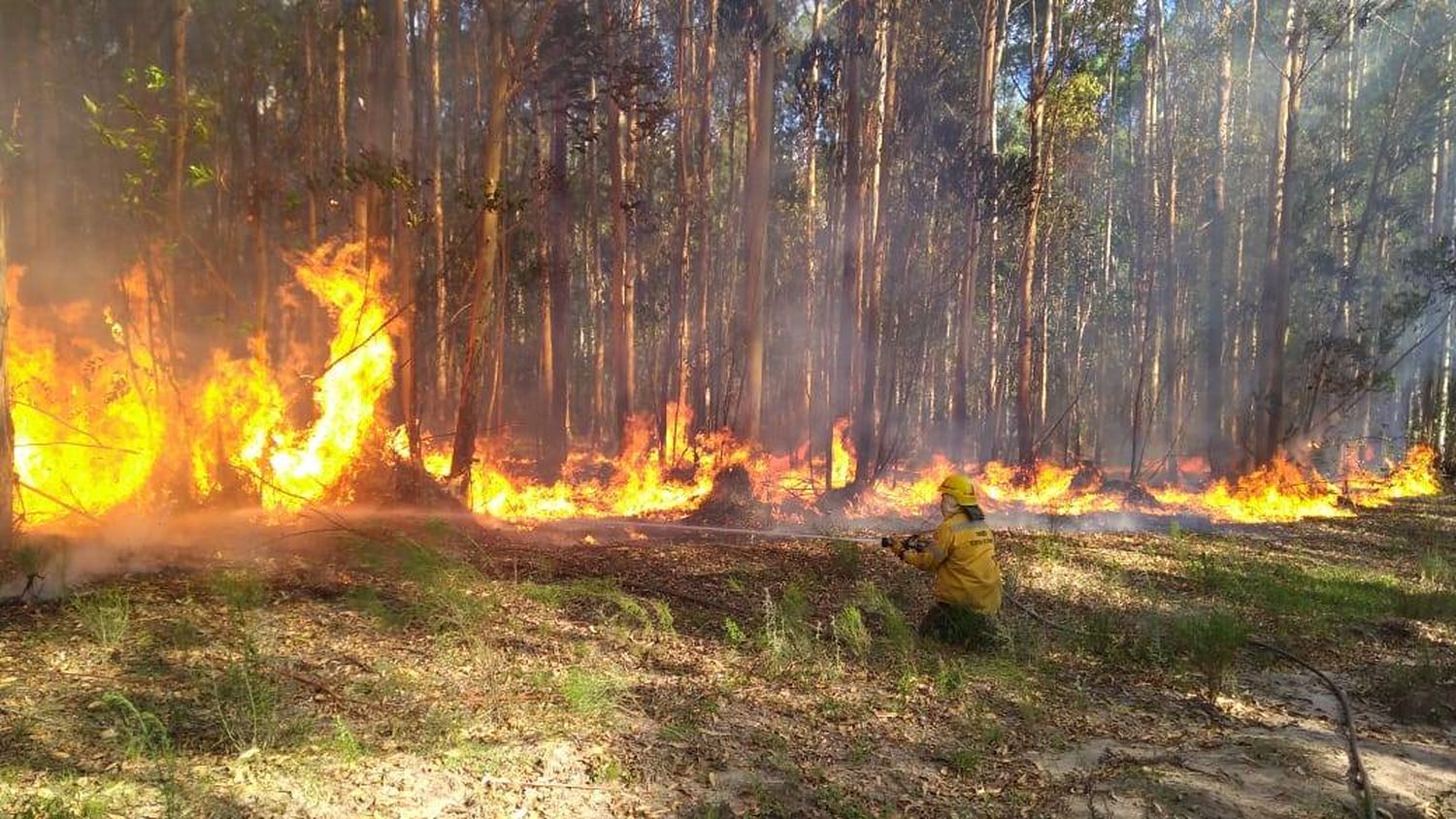 Incendio de gran magnitud en zona rural de Los Charrúas