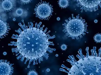 Logran frenar la capacidad infecciosa del virus del sida