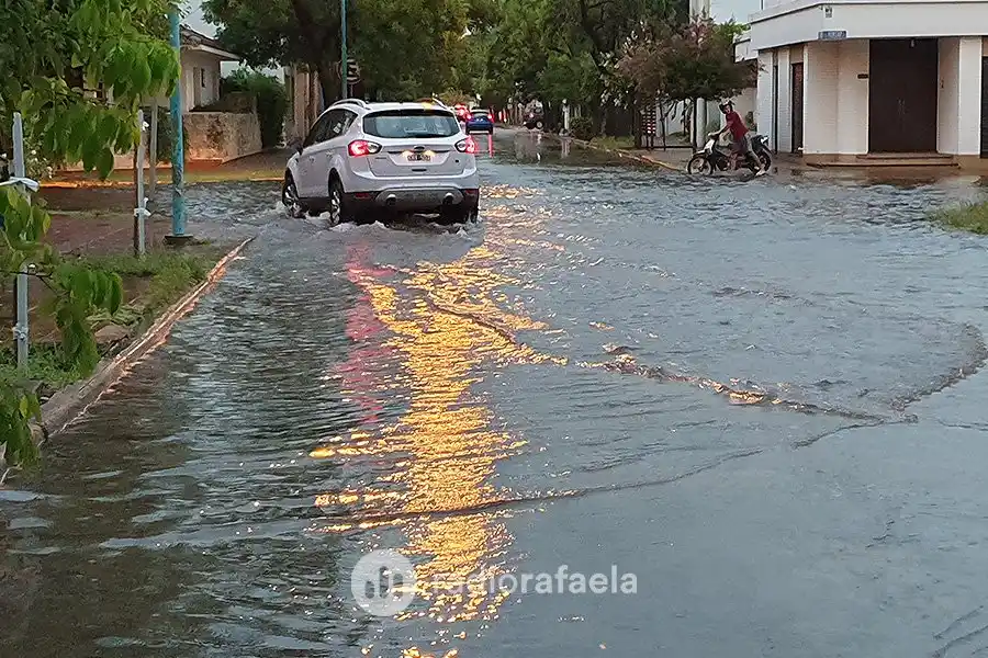 20 de enero de 2020