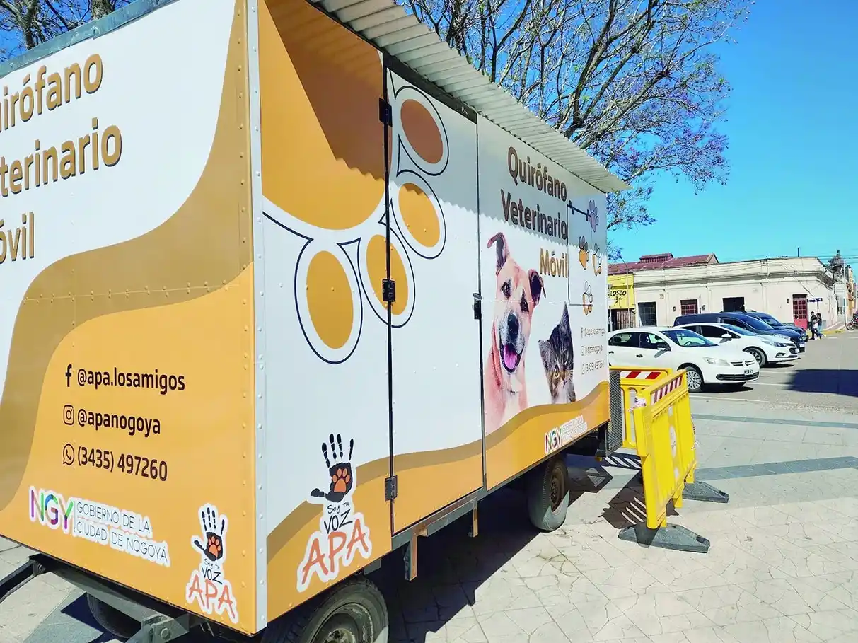 Concientizan por un uso responsable de la pirotecnia y la castración de mascotas