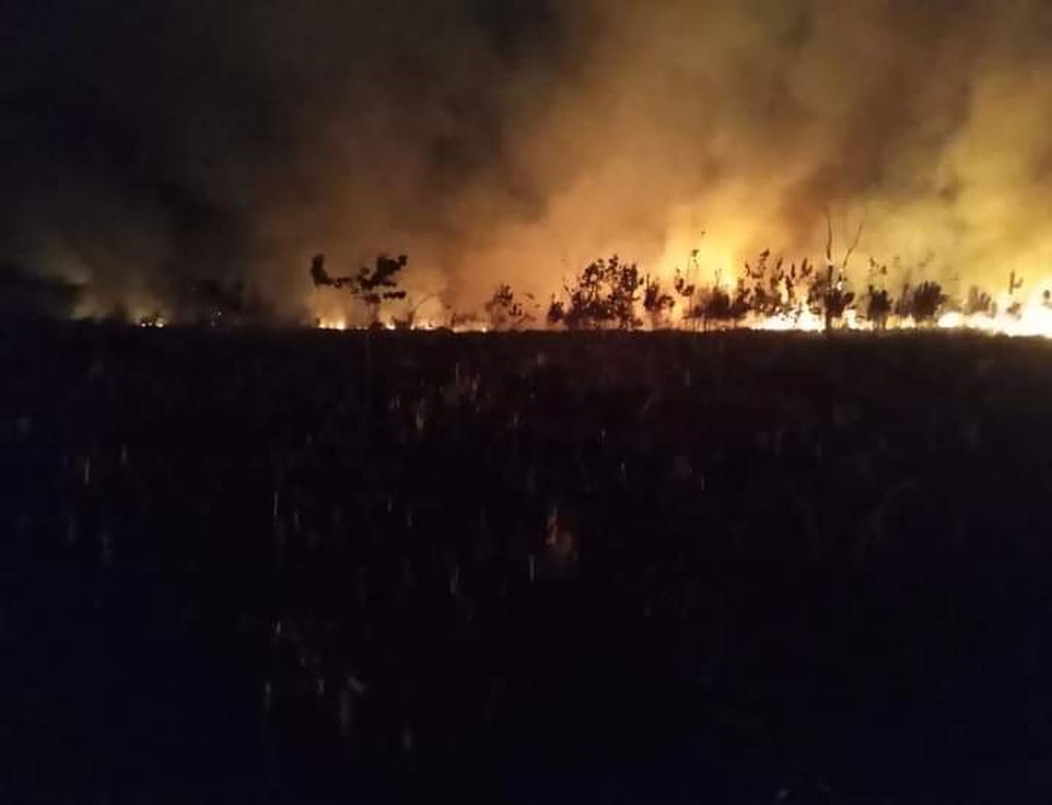 Continúan los incendios en el Parque Nacional Ciervo de los Pantanos y el humo está llegando al centro de Campana