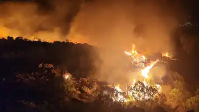 Incendio en las sierras de Tandil.
