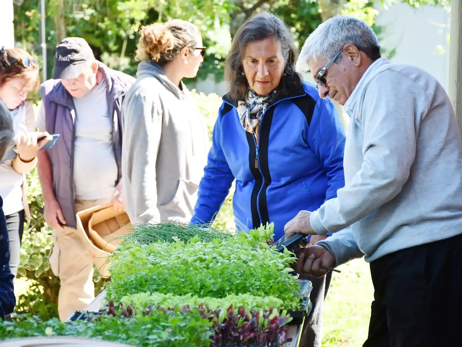 El Programa de Huertas Agroecológicas tiene como objetivo cerrar el año beneficiando a más de 2000 familias