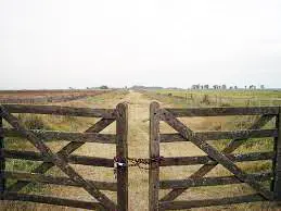 El delito rural: saquearon una vivienda en un campo