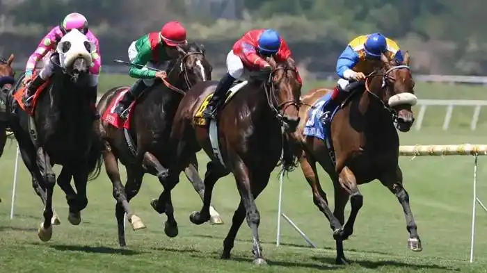 Jueves 25: Actividad Hipódromo de La Plata