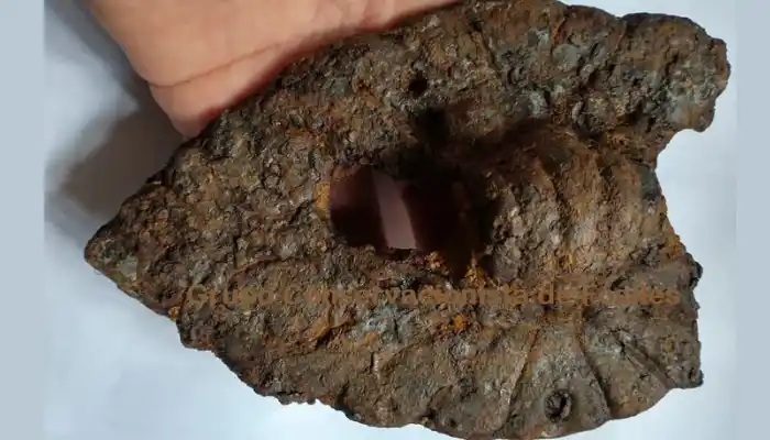 Nuevo hallazgo: encuentran elementos franciscanos en la Plaza Constitución