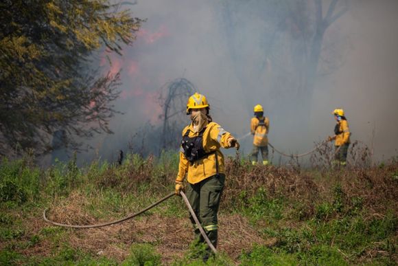 Incendio forestal: Santa Fe y Entre Ríos unen fuerzas para combatir el fuego