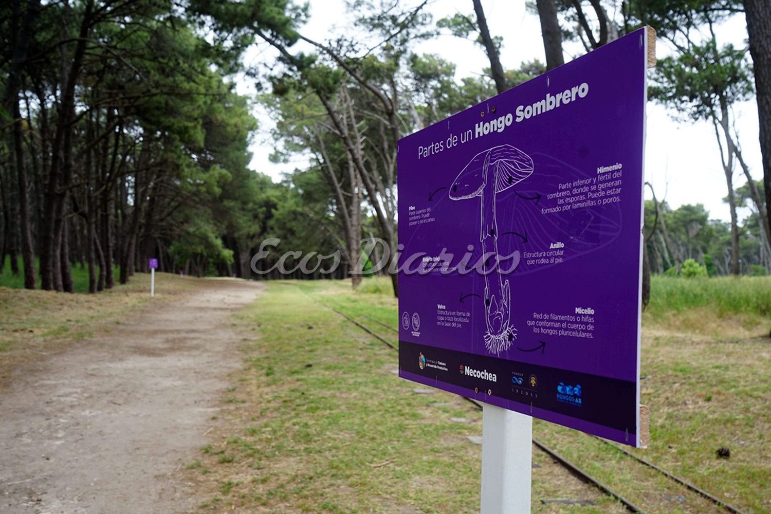 Carteles informativos