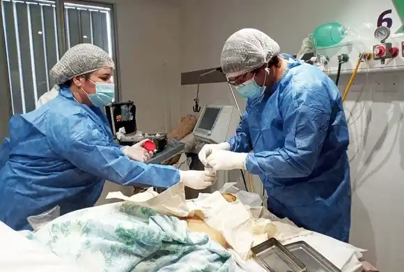 Procuración de órganos