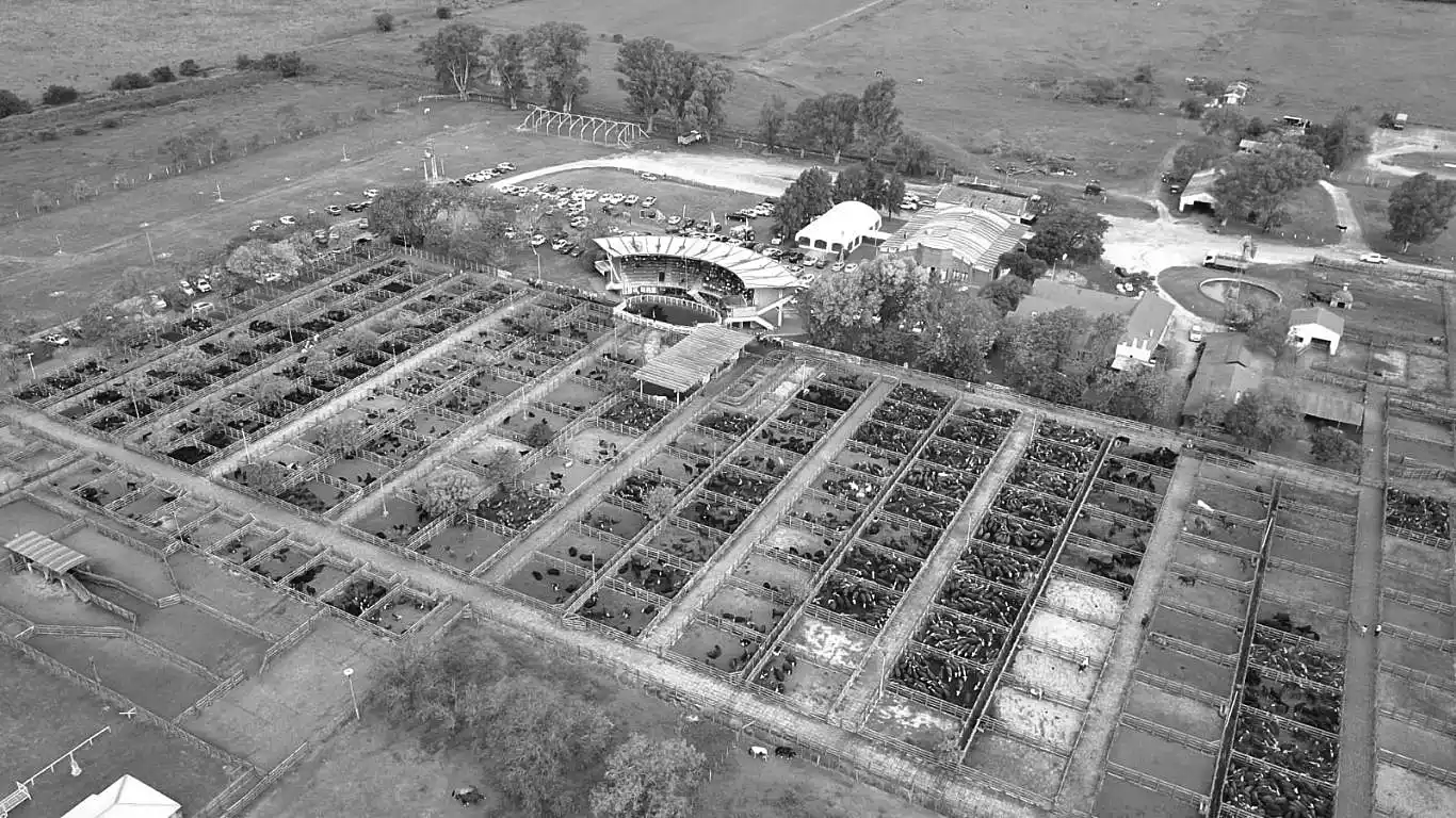 El Simposio Internacional de la Federación de Asociaciones Rurales del Mercosur se hará en Gualeguaychú