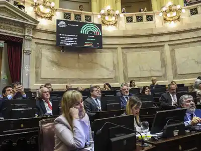 El Senado rechazó los vetos a la emergencia pediátrica y el financiamiento universitario