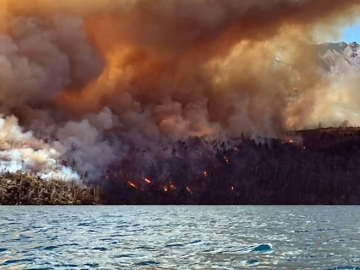 Federovisky: "El problema es que no hay una Justicia que acompañe la política pública para prevenir los incendios"