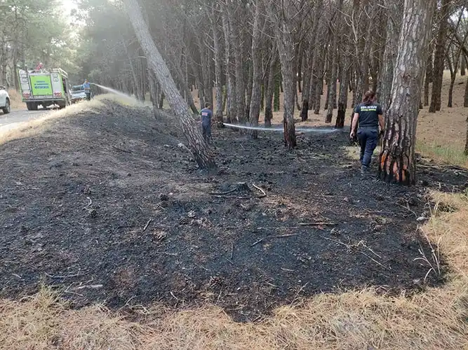 Incendio en el parque y un auto fue destruido