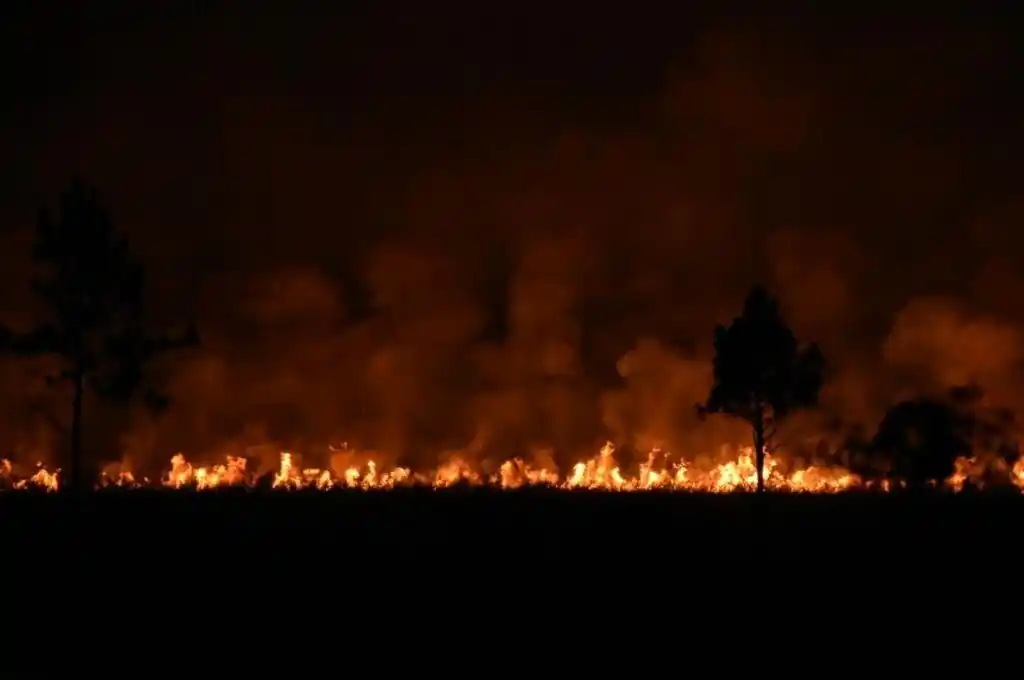 Un incendio afectó a más 60 hectáreas en Posadas y el humo cubrió la ciudad