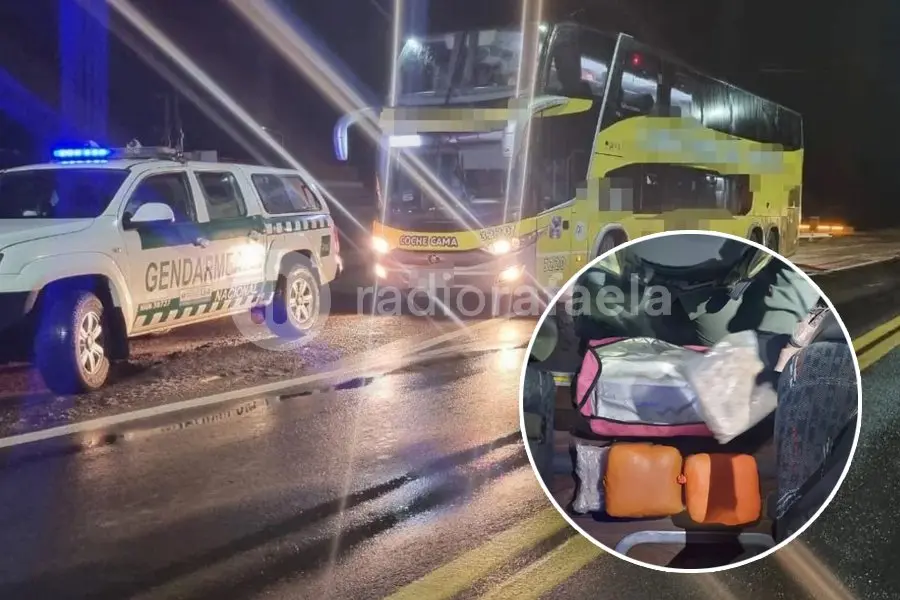 Hallaron cocaína, éxtasis, crack y marihuana en micros en Ruta Nacional 34
