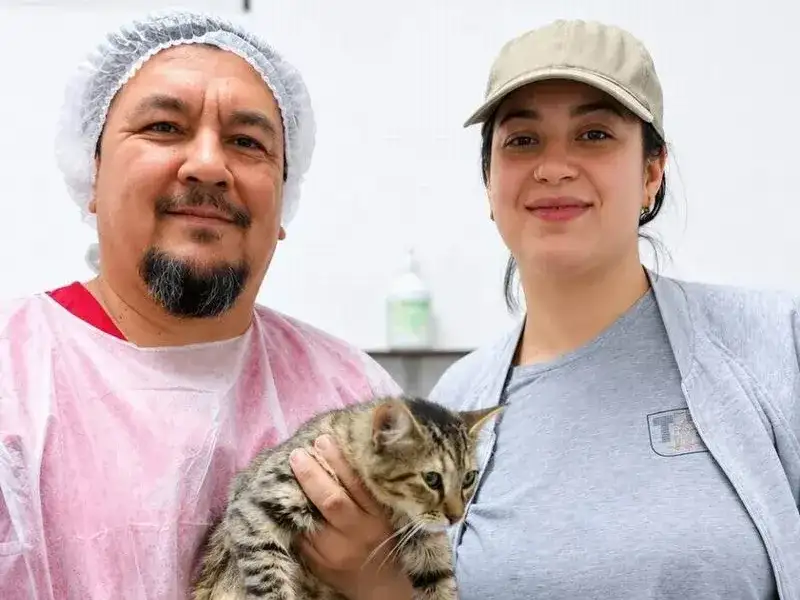Una gatita rescatada marcó la castración número 
10.000 del Centro Municipal de Atención Animal
