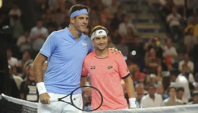 Del Potro vivió una gran noche de exhibición ante Ferrer