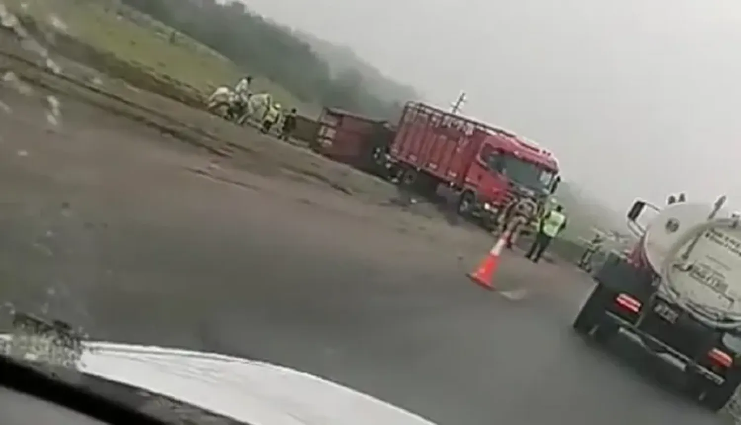 Un camión con caballos sufrió un despiste y vuelco en la ruta 12