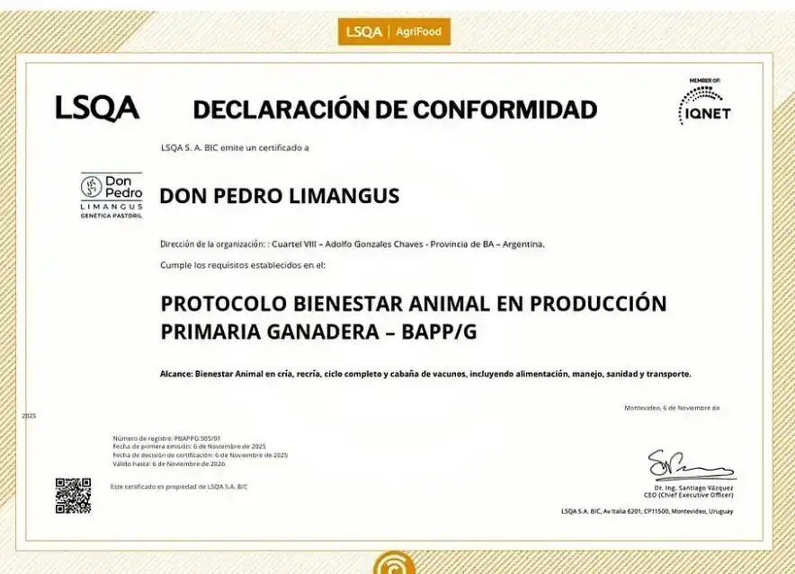 certificado don pedro