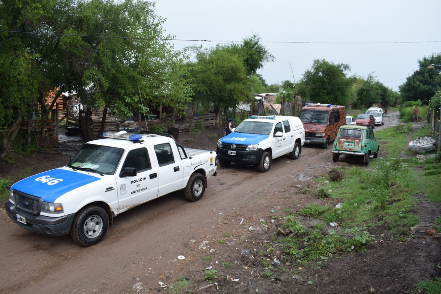 Secuestran plantas de marihuana en la zona norte  de la ciudad