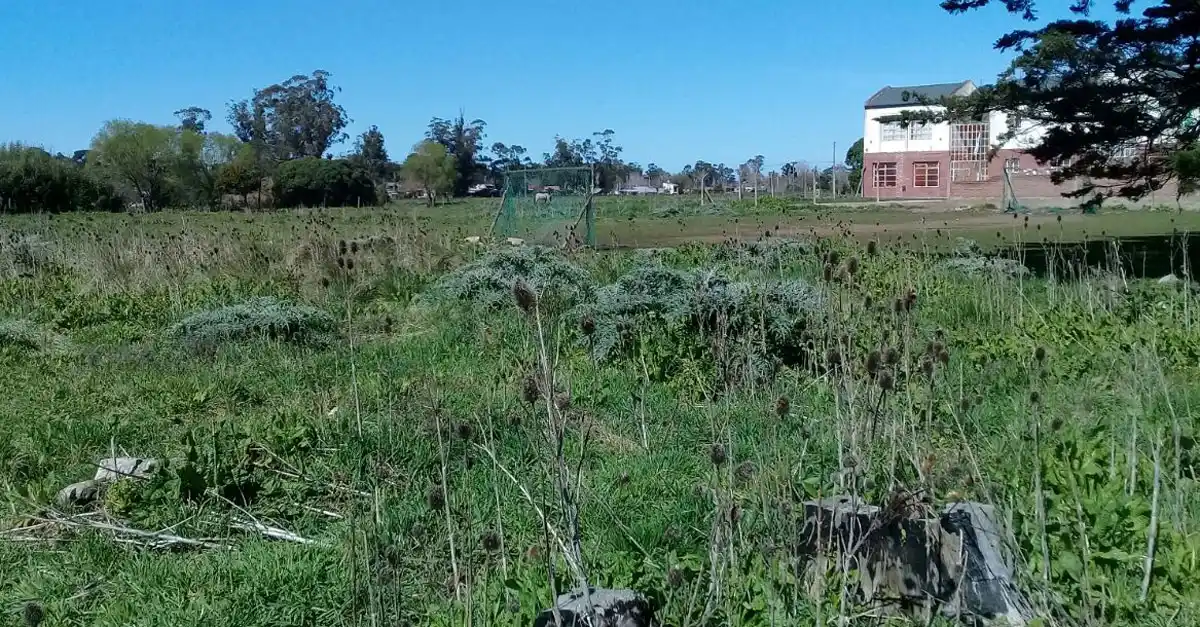 En Parque Palermo, denuncian que están "paradas" las obras de Nación