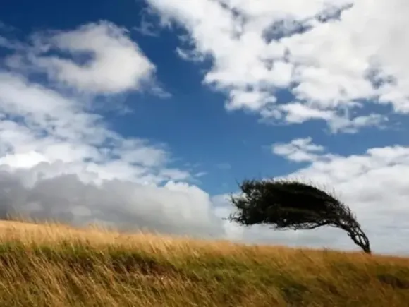 Viernes con viento y algunos chaparrones en Tres Arroyos