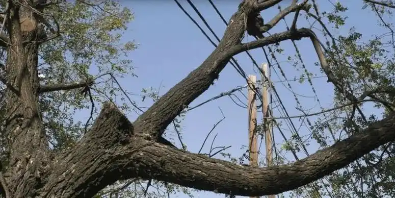 El corte afectará una zona de barrio Iturbide. Imagen ilustrativa.