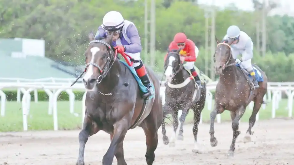 The Gladiator’s Hat y Thor Medina  tratarán de brindarle el 8° triunfo al turf argentino en la prueba continental.