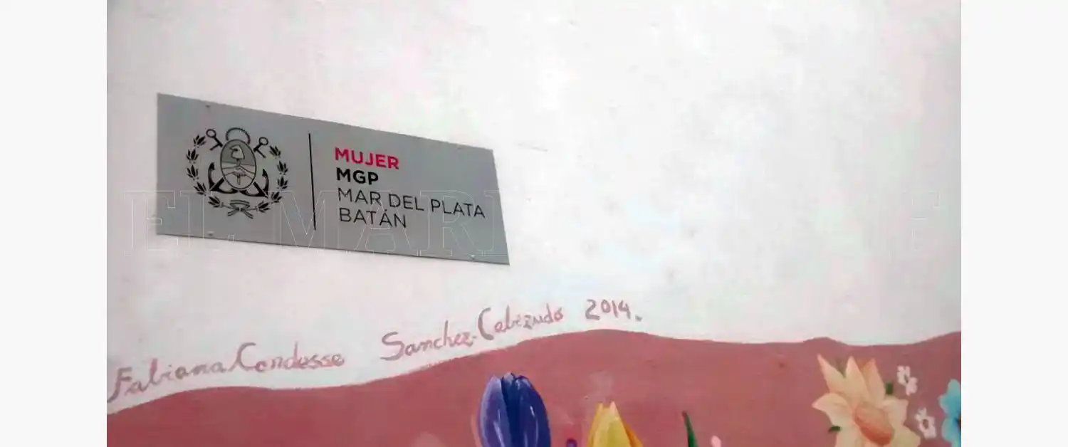 "Se reciben más de 1500 denuncias mensuales por violencia de género"