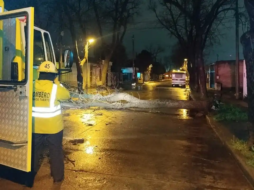 El árbol bloqueaba totalmente la calle Corrientes al 300. Crédito: Bomberos de Venado Tuerto.