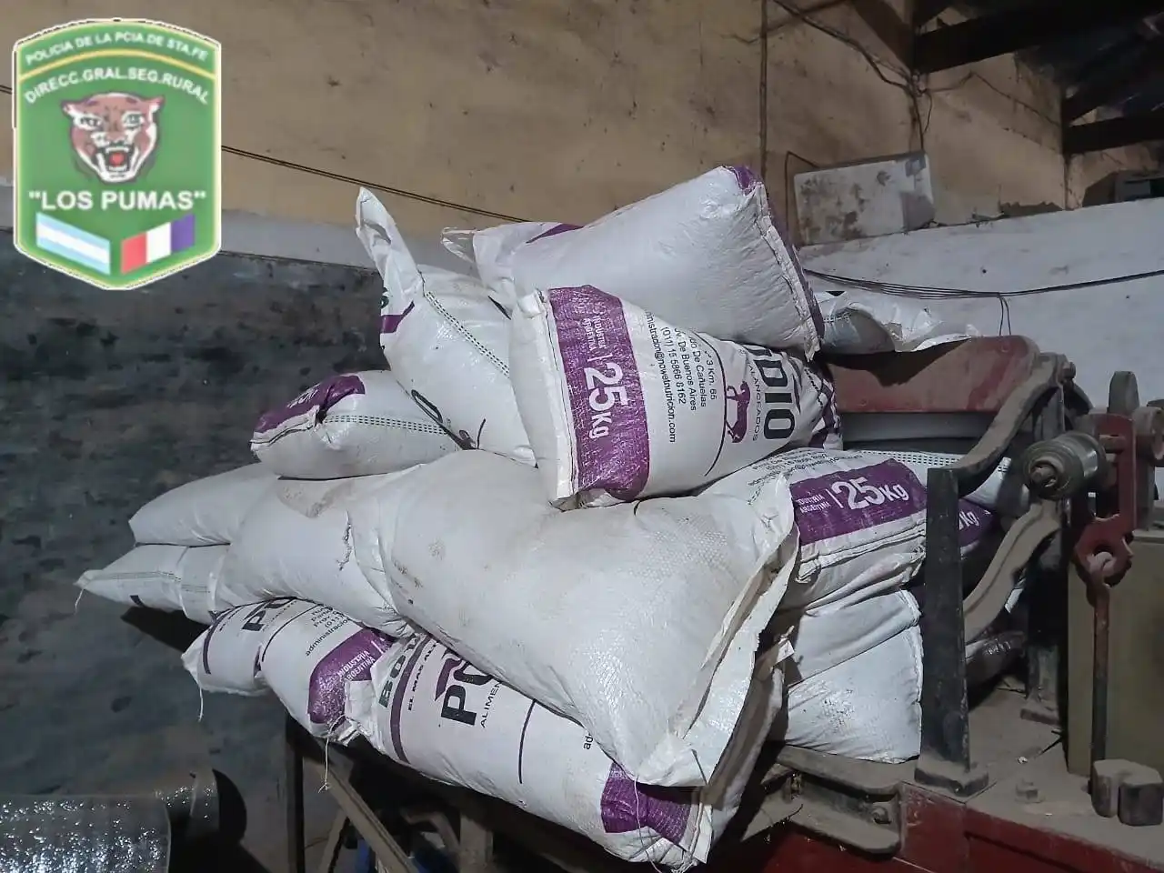 Los Pumas recuperaron más de 50 bolsas de semillas de alfalfa robadas y detuvieron a un sospechoso