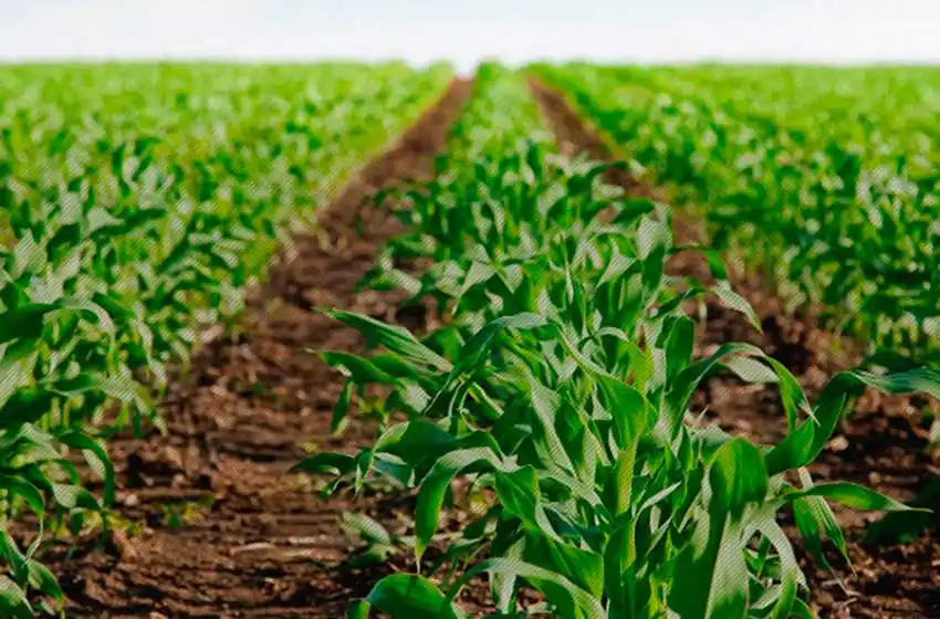 Crearon el Banco para Abastecimiento de Insumos Agropecuarios en la provincia de Buenos Aires