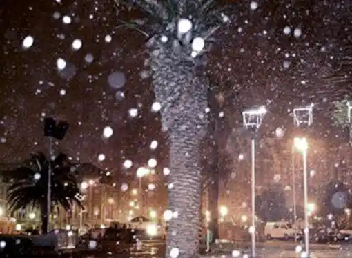 Ola polar: Mar del Plata amaneció cubierta de nieve